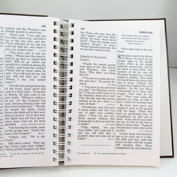 New Testament and Psalms New International Version 1993 International Bible Soc - Picture 9 of 11